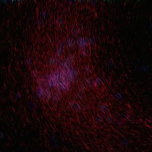 风间阿姨演过哪些电影
