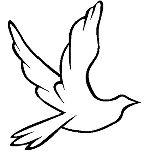 风间阿姨演过哪些电影
